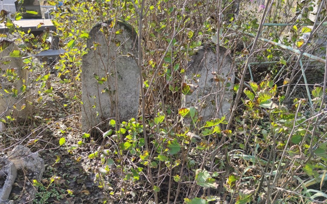 Немецкое кладбище на о. Хортица. Mennonite cemetery on the island of Khortitsa. Mennonitischer Friedhof auf der Insel Khortitsa