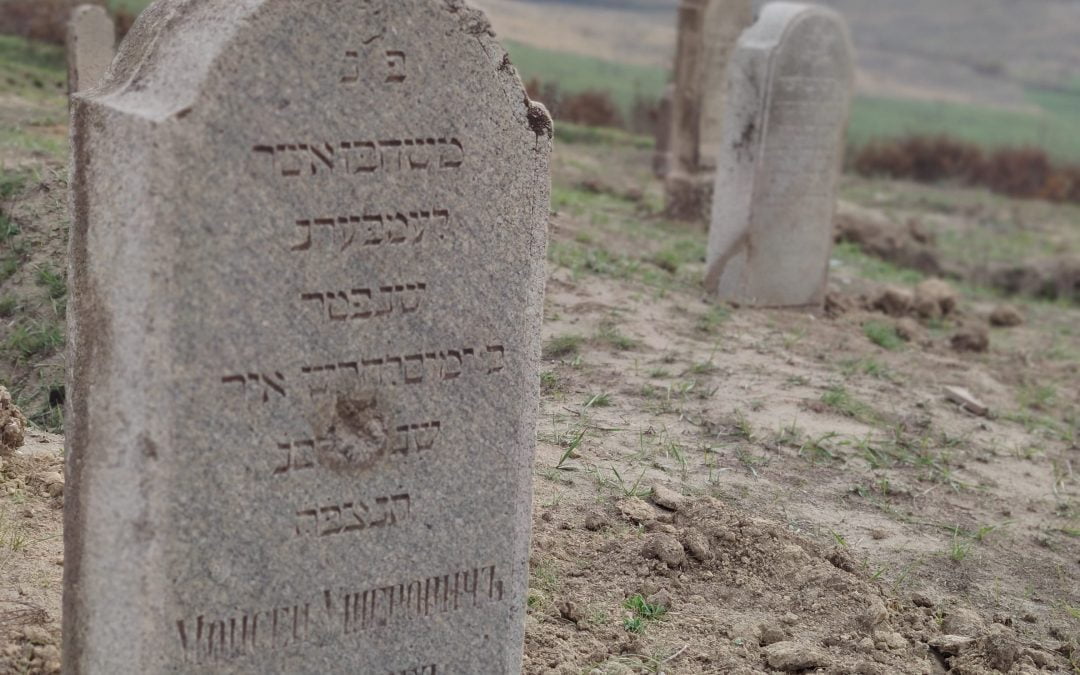 Затерянное еврейское кладбище. Lost Jewish cemetery