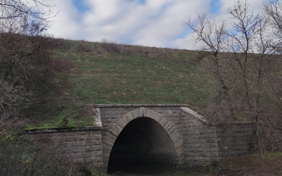 Немецкие тоннели в Партизанской балке. Mennonitische Tunnel in Partisan Gully